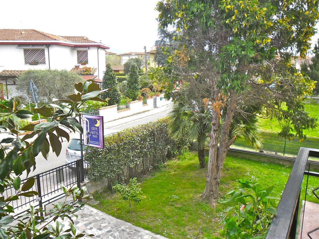 Certe Notti Acomodação com café da manhã Pisa Exterior foto